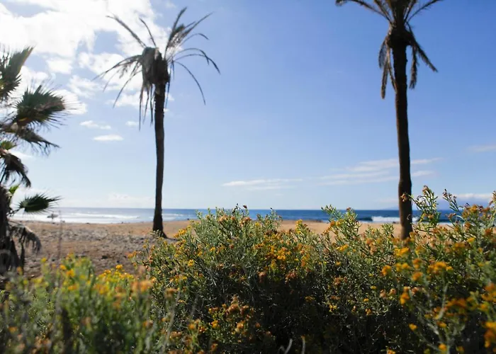 公寓 La Casita Di Moni Luxury - Pool - Americas 美洲海滩